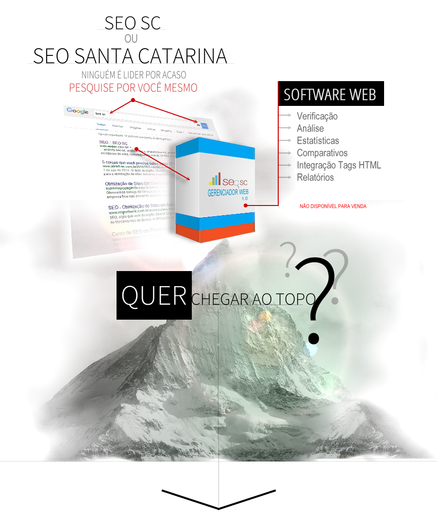 SEO-SC-SEO-SANTA-CATARINA-SC-Software WEB 1.0